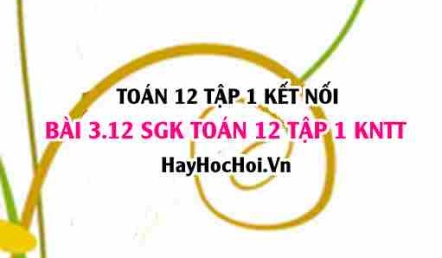 Bài 3.12 SGK Toán 12 tập 1 Kết nối tri thức